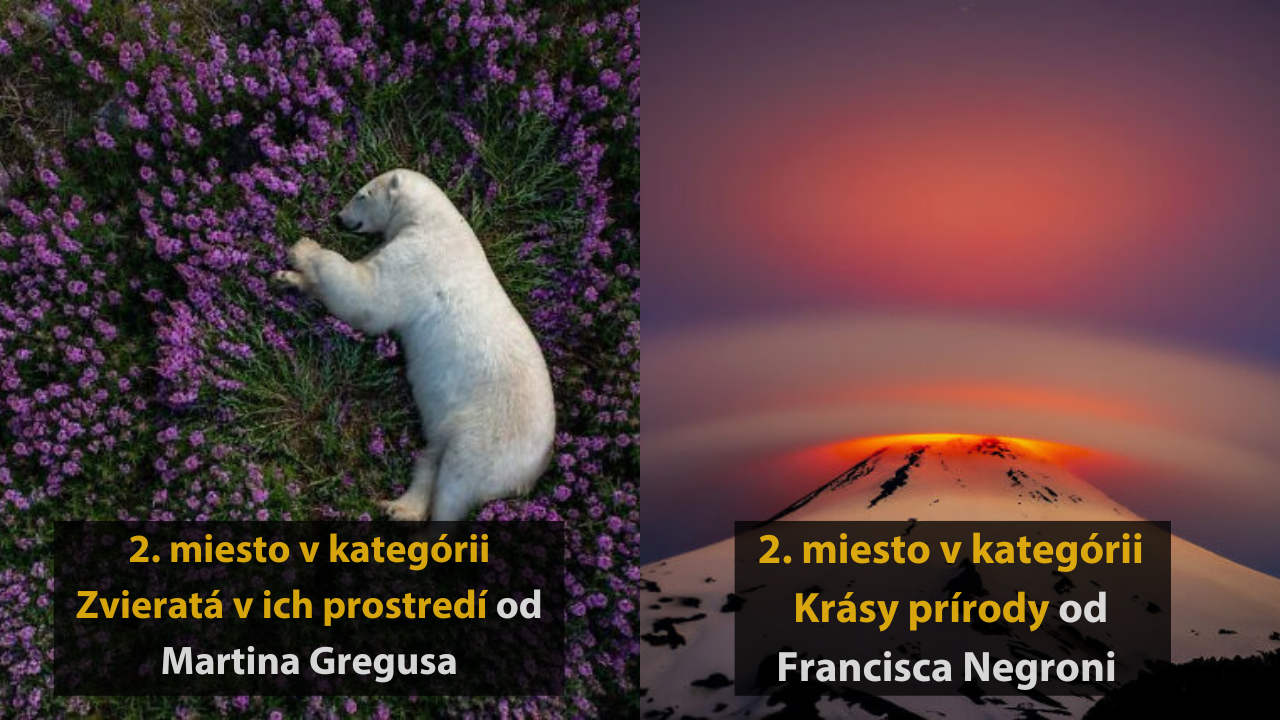 15 najlepší fotografií z roku 2023 – 1.časť