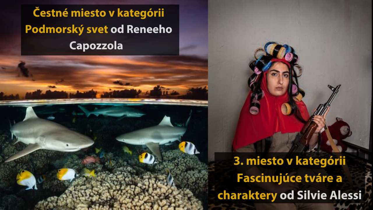 15 najlepší fotografií z roku 2023 – 2.časť