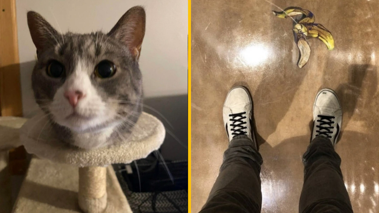 Na týchto 10 fotografií sa budete musieť dívať dlho, aby ste pochopili, čo sa na nich deje