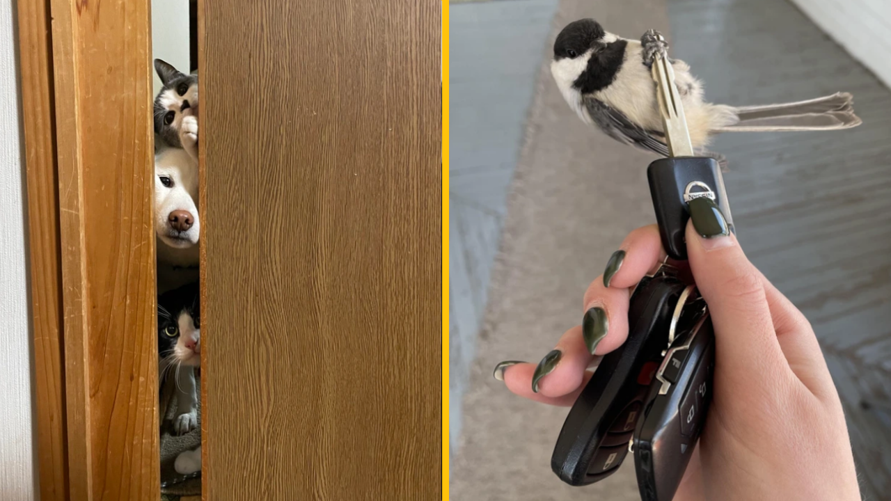 11 fotografií, ktoré roztopia vaše srdce