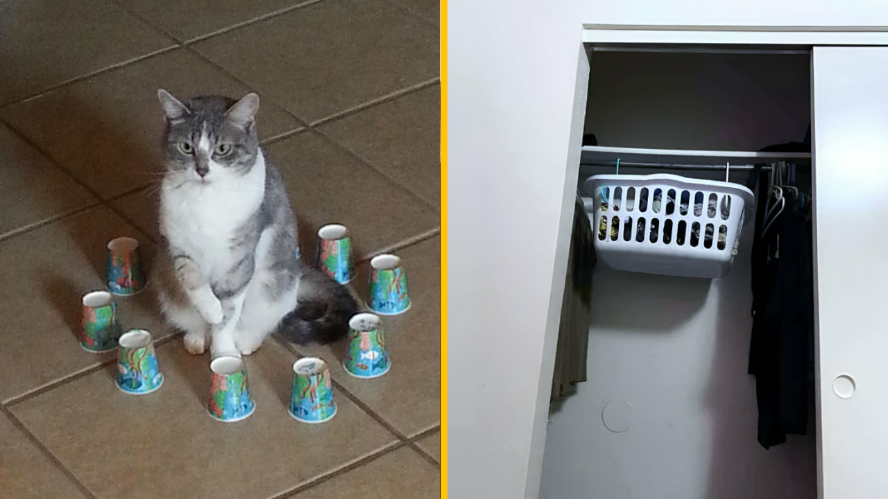 Tieto fotografie dokazujú, že deti majú vždy tie najkreatívnejšie riešenia (2. časť)