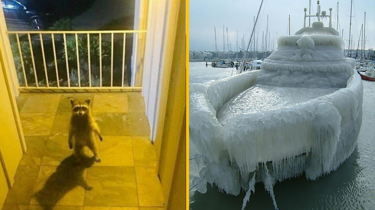 10 fotografií bez kontextu, ktoré vám poriadne zamotajú hlavu (1. časť)