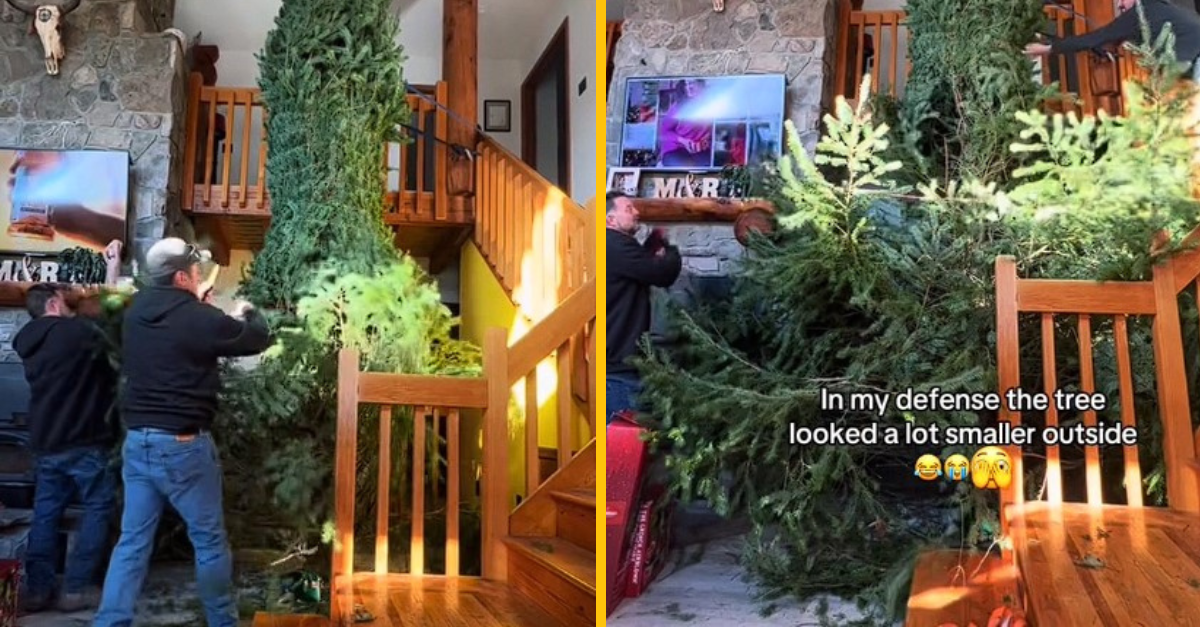 Varovali ho, že sa mu stromček do domu nevojde. Otecko si však spravil po svojom, takto to dopadlo