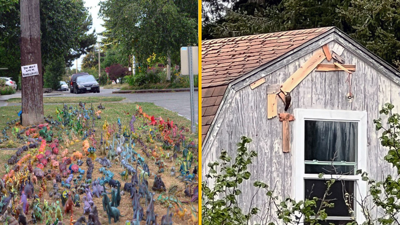 10 fotografií, ktoré dokazujú, že so susedmi sa nikdy nenudíte (2. časť)