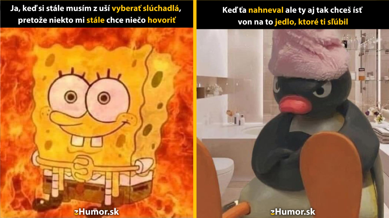 Zopár memečiek, ktoré vznikli, aby ti spríjemnili deň #1377: Tak ale už dosť.