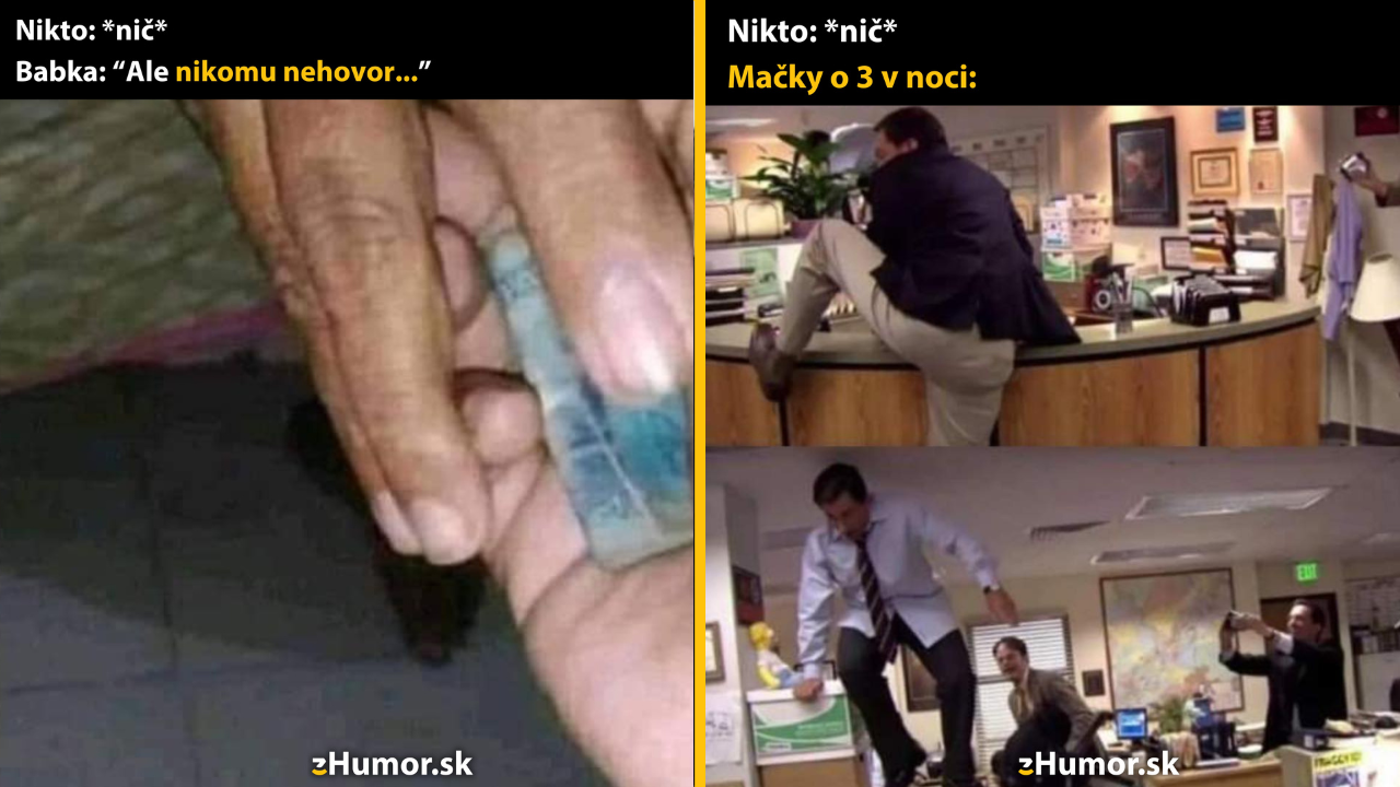 Zopár memečiek, ktoré vznikli, aby ti spríjemnili deň #1374: Ale nehovor to mame.
