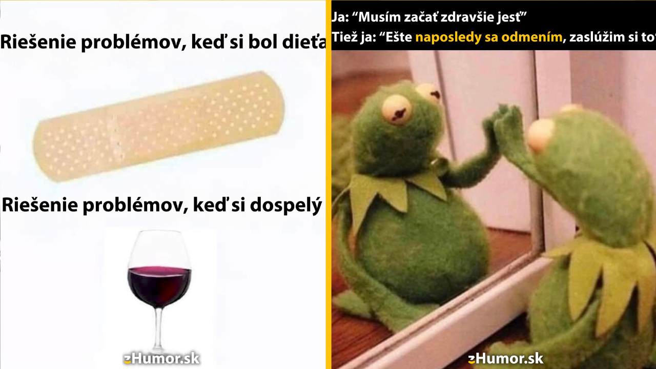 Zopár memečiek, ktoré vznikli, aby ti spríjemnili deň #1376: Takto sa to robí.