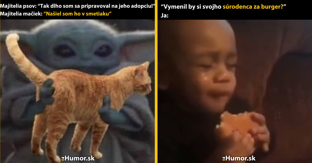 Zopár memečiek, ktoré vznikli, aby ti spríjemnili deň #1372: Ty si sa pripravoval?
