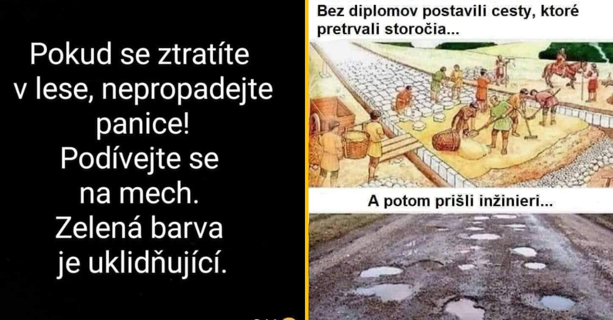 20+ Obrázkov: Všetko vtipné z internetu! #364 – evolúcia cestného inžinierstva