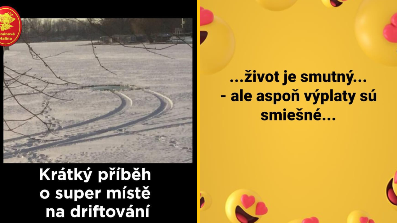 20+ Obrázkov: Všetko vtipné z internetu! #368 – parochňa pre psa a zopár tématických vianočných obrázkov