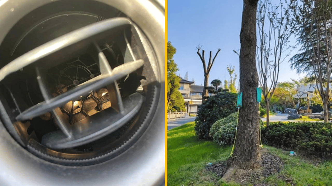 10+ ľudí, ktorí mali oči na stopkách a natrafili na niečo nezvyčajné
