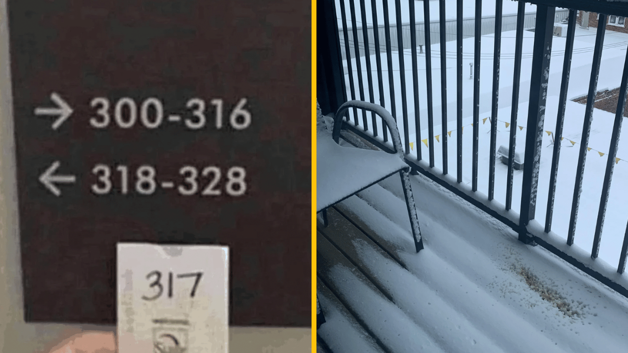 11 ľudí, ktorí mali zlý deň, no tebe ho bezpochyby zlepšia