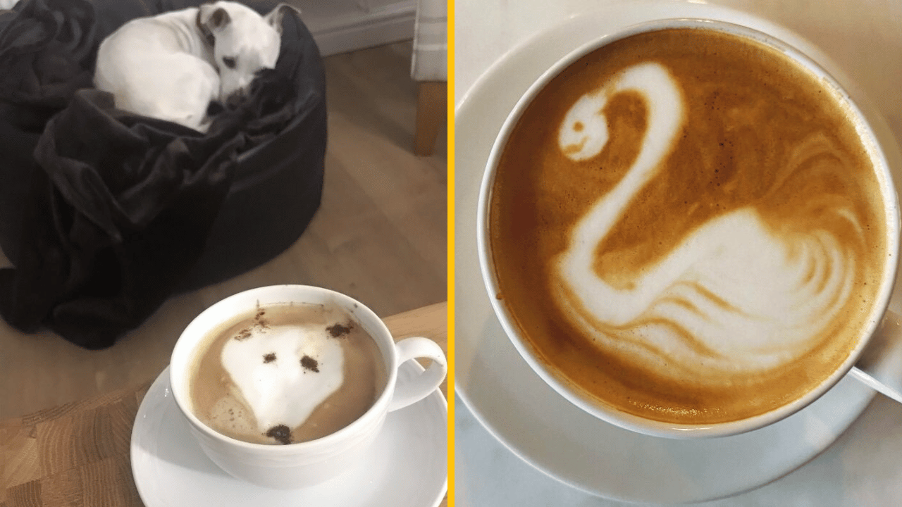 10 vtipných prípadov, keď latté art nedopadlo podľa predstáv