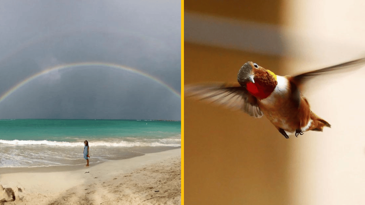 10 perfektných momentiek, aké sa len tak nevidia