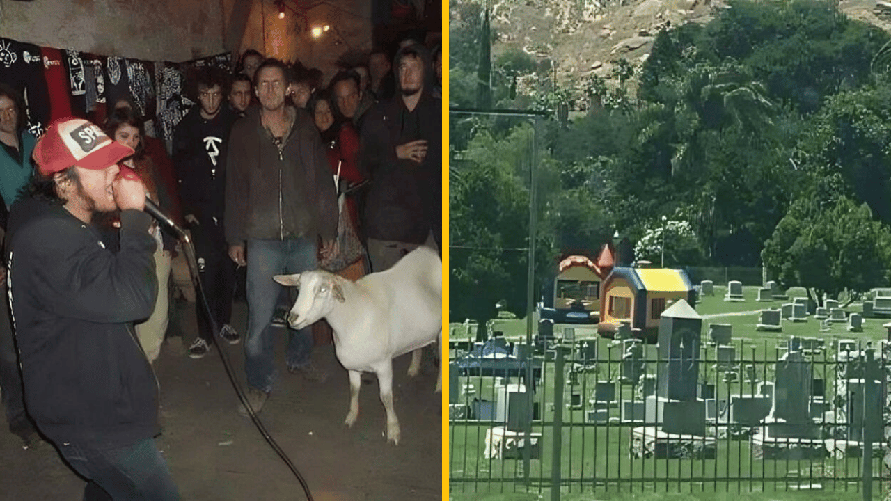 10 bizarných situácií, ktoré sa nevidia každý deň
