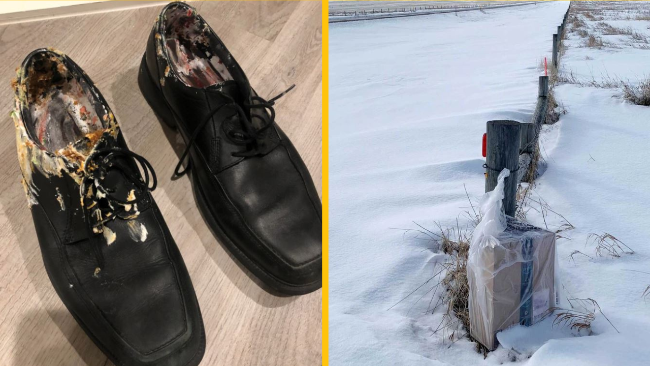 Fotografie, ktoré hovoria tak nahlas, že dokážeme doslova cítiť niekoho bolesť