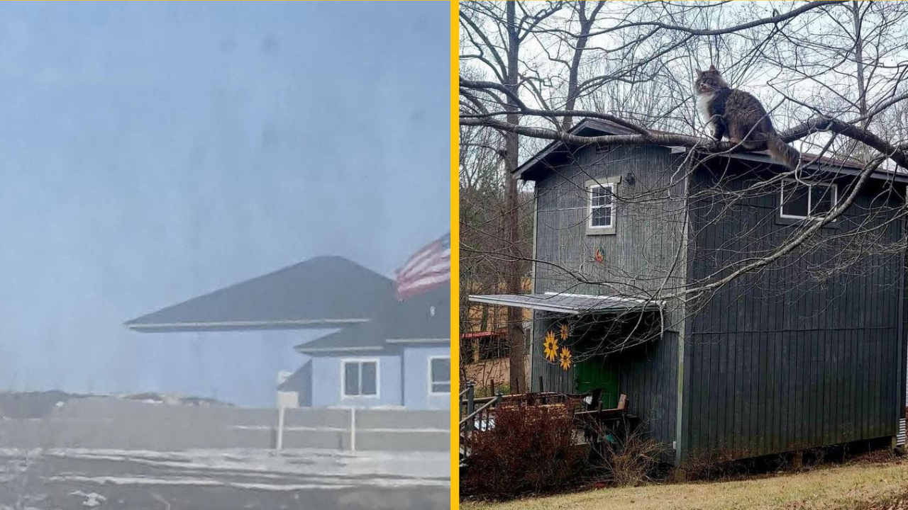 Fotografie, ktoré sa vás pokúsia zmiasť tým najlepším možným spôsobom