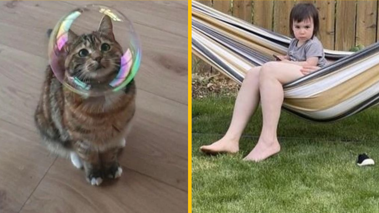 Fotografie, ktorých uhly spôsobili veľký zmätok