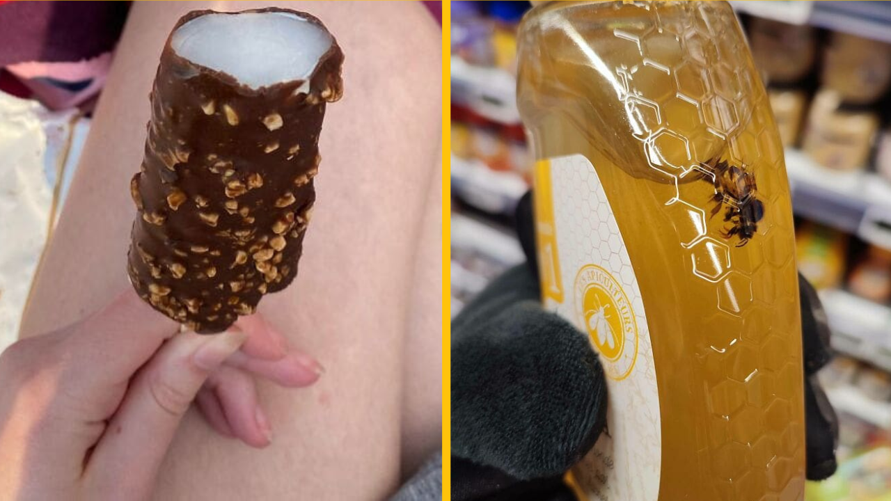 Fotografie prekvapivých a nezvyčajných „doplnkov“ nájdených v jedlách (1. časť)