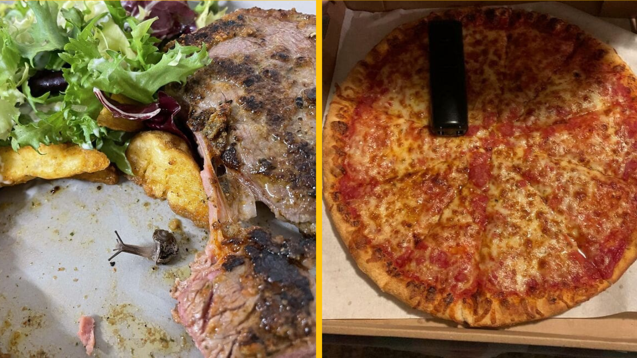 Fotografie prekvapivých a nezvyčajných „doplnkov“ nájdených v jedlách (2. časť)