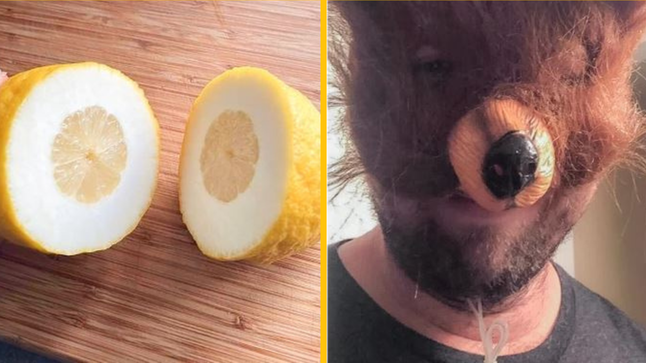 Očakávania, ktoré boli rozdrvené krutosťou reality