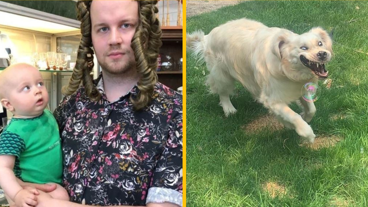 Vtipné fotografie, ktoré sú ideálne na začatie týždňa s úsmevom ​