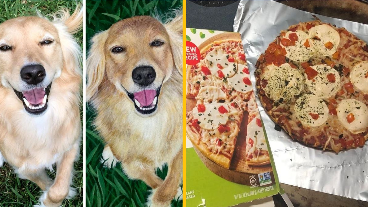 Fotografie, na ktorých realita prekonala očakávania ľudí a príjemne ich prekvapila