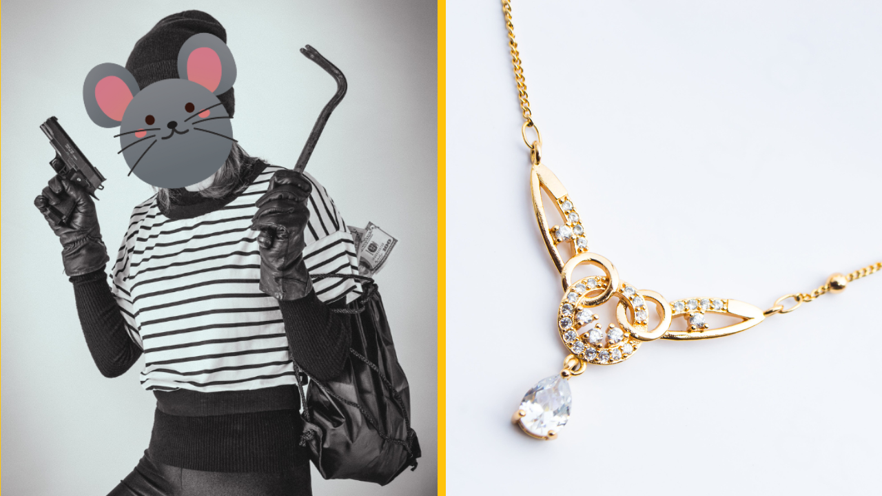 Krysa sa vlúpala do klenotníctva a ukradla drahý diamantový náhrdelník