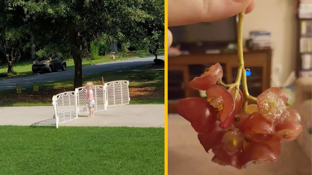 15 zábavných fotiek zo života rodičov