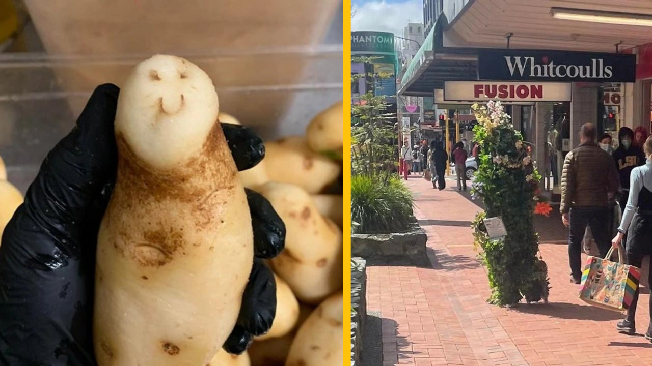 15 vzácnych vecí, ktoré neuvidíte len tak hocikedy