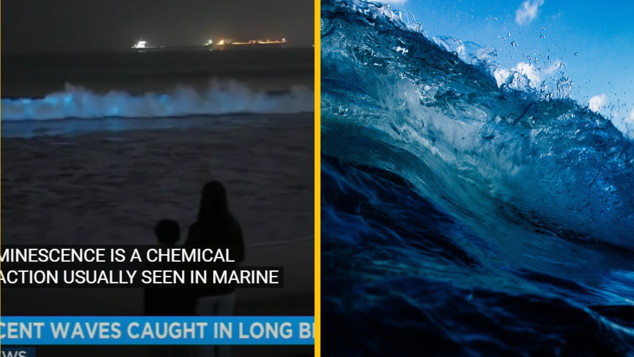 Vlny na kalifornských plážach v noci žiaria bioluminiscenčnými riasami + VIDEO