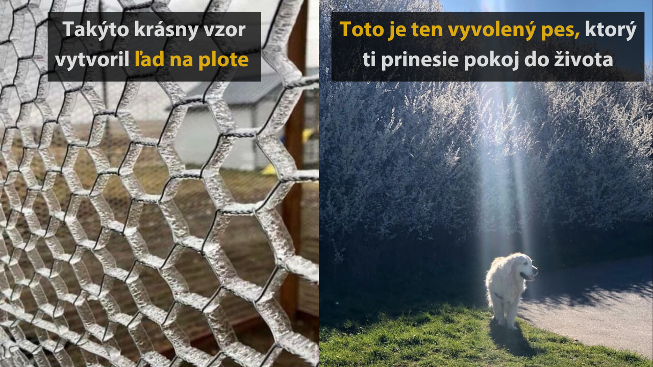 15 krásne uspokojivých fotografií, ktoré vám prinesú pokoj na duši #1