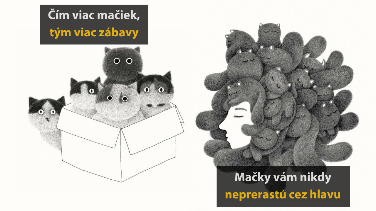 20 krásnych mačacích ilustrácii od Kamweia Fonga #2