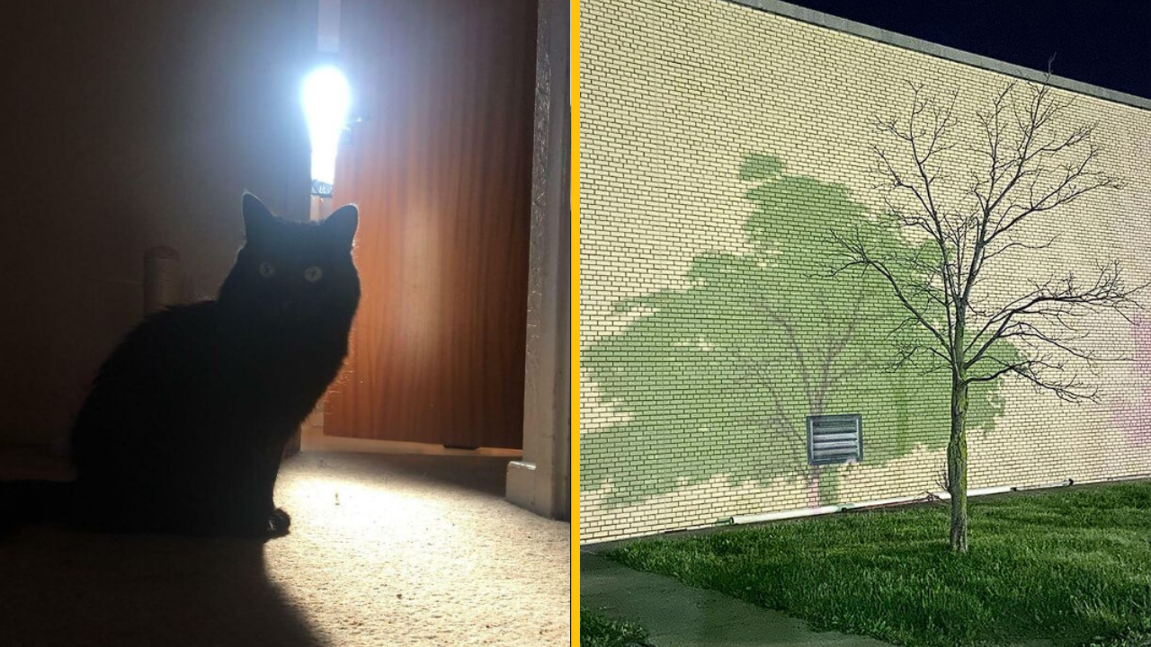 Keď sa pozriete na tieto fotografie, nebudete veriť, že nejde o Photoshop (1. časť)