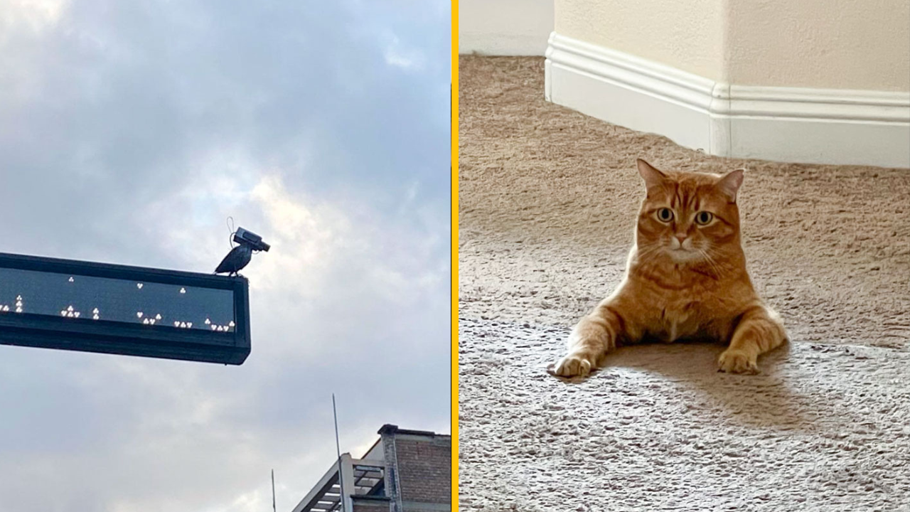 Keď sa pozriete na tieto fotografie, nebudete veriť, že nejde o Photoshop (2. časť)