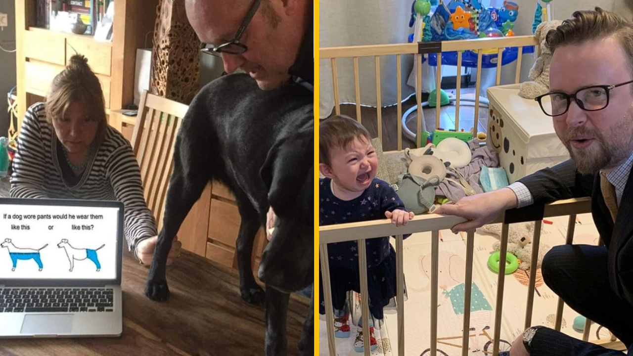 Týchto 11 fotografií dokazuje, že s rodinou sa nikdy nenudíte