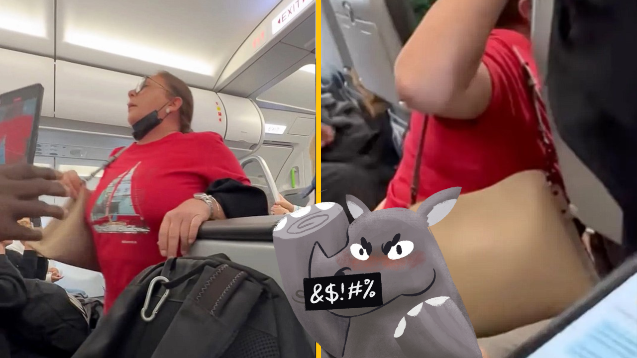 Letuška jej povedala, že práve teraz nemôže použiť záchod. Žena si preto stiahla nohavice a čupla si rovno v uličke