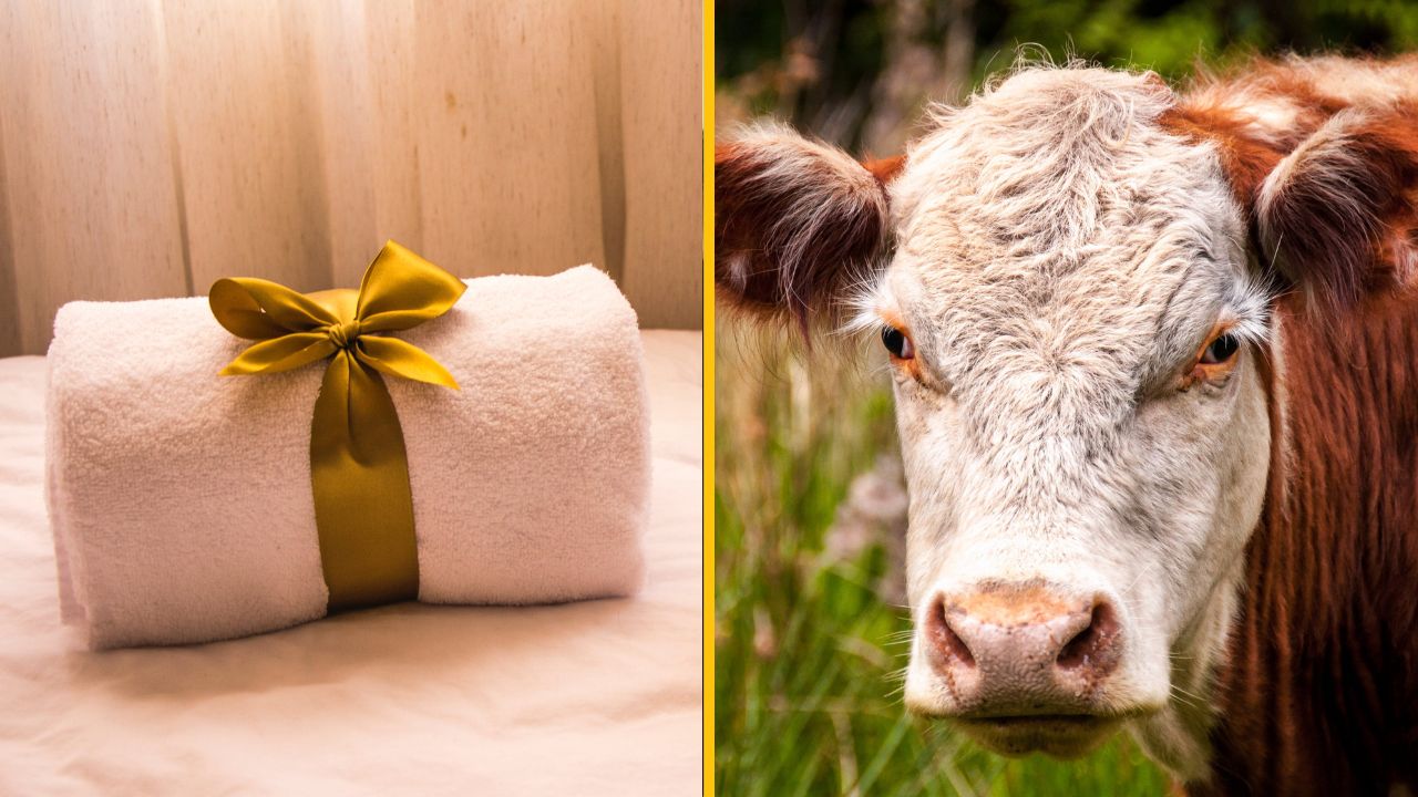 Ľudia prezradili, čo najčudnejšie u nich hostia kedy urobili a mysleli si, že je to úplne normálne