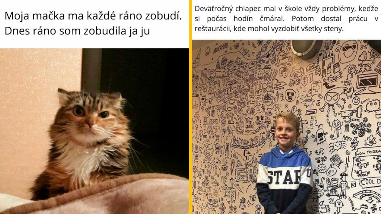 12 memečiek, ktoré sú tak duchaplné, že vás chytia za srdce