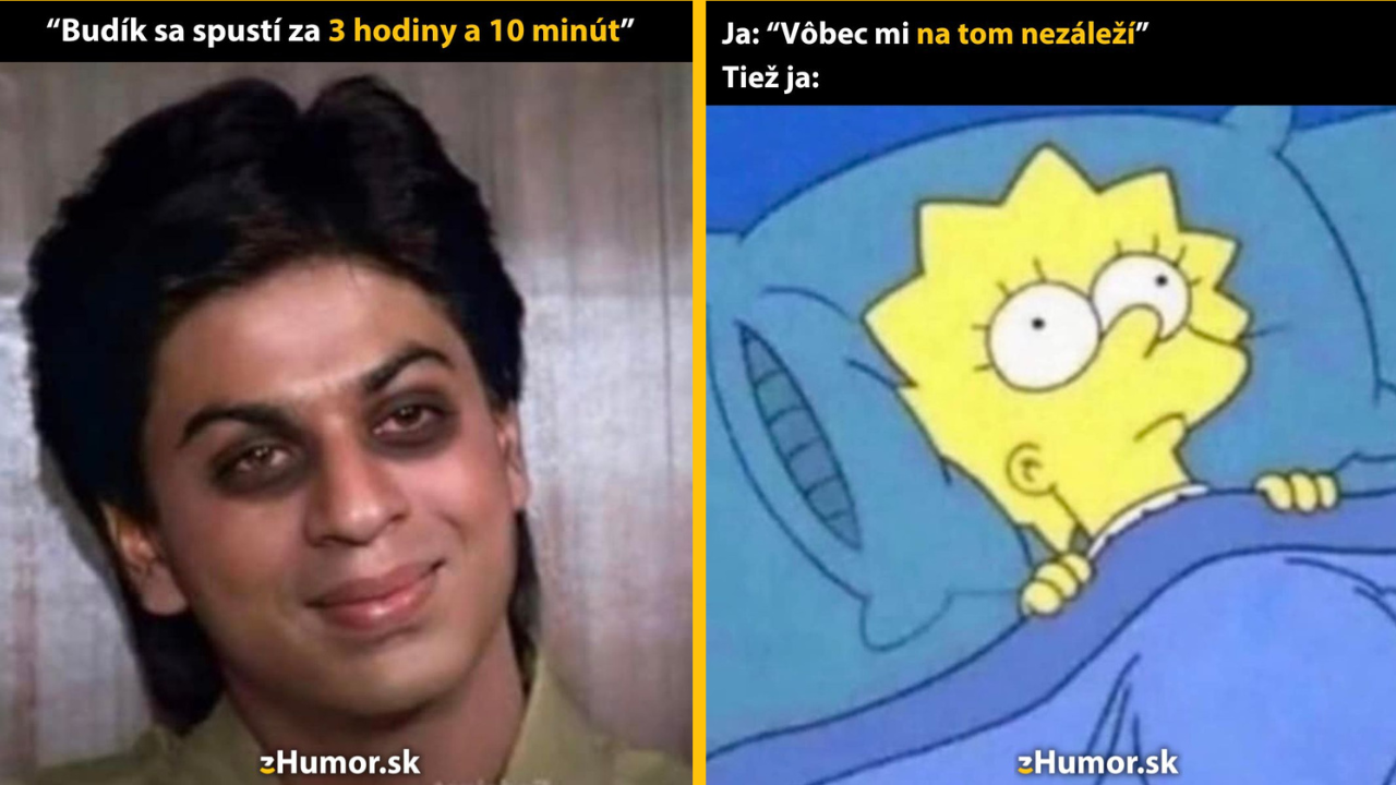 Zopár memečiek, ktoré vznikli, aby ti spríjemnili deň #1390: To predsa bude musieť stačiť.