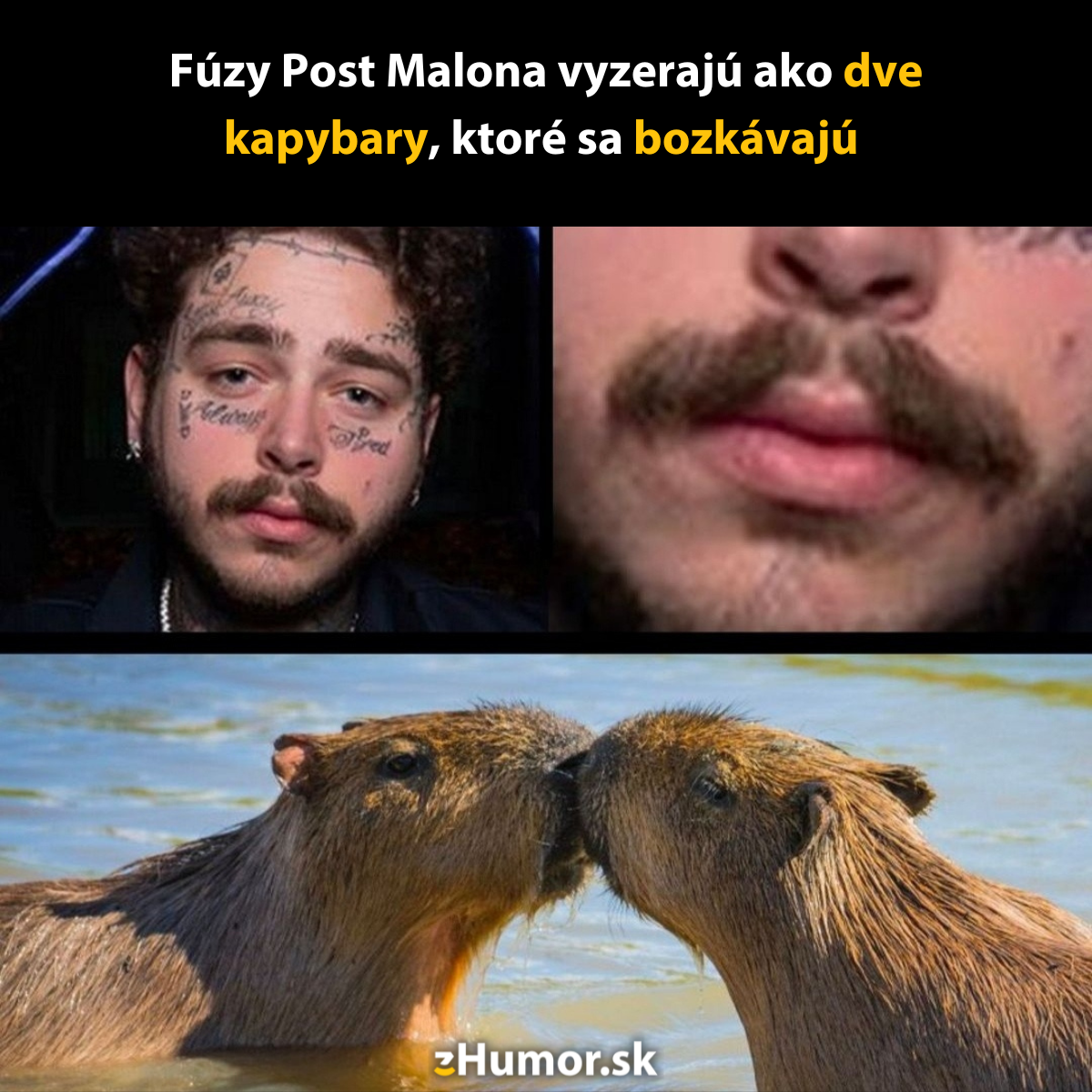 Fúzy ako z ríše zvierat