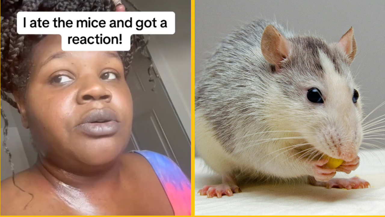 Žena sa rozhodla uvariť si a zjesť myš, ktorú chytila vo svojom byte. Takmer sa otrávila