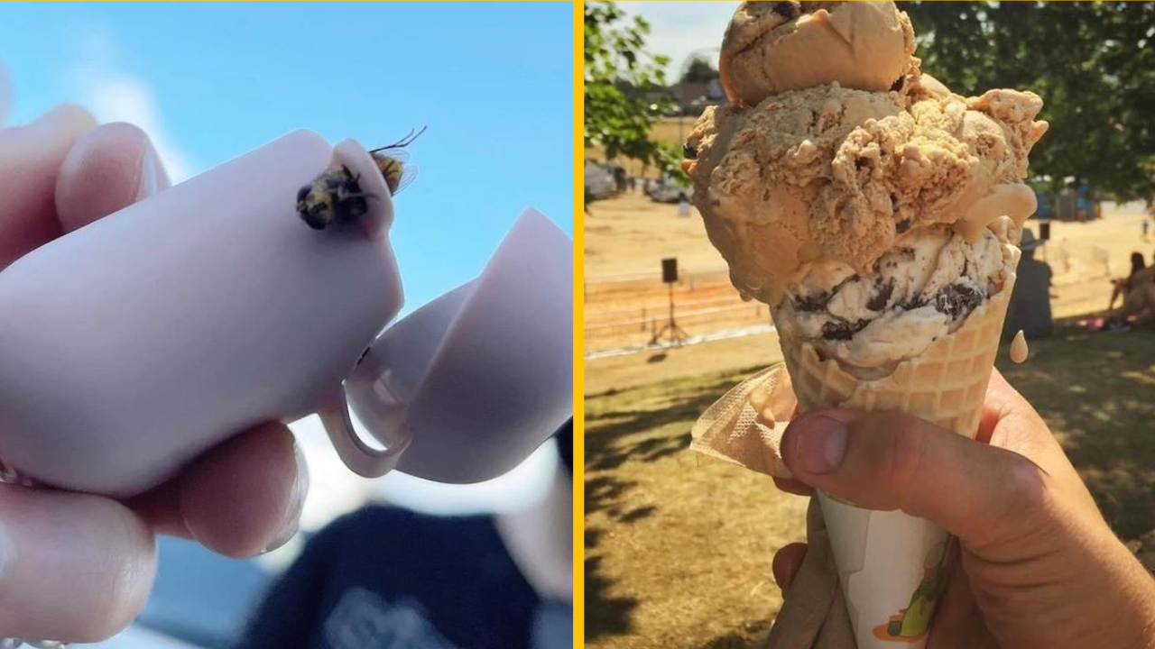 Náhodné fotografie, ktoré sa ukázali ako čisté drahokamy ​