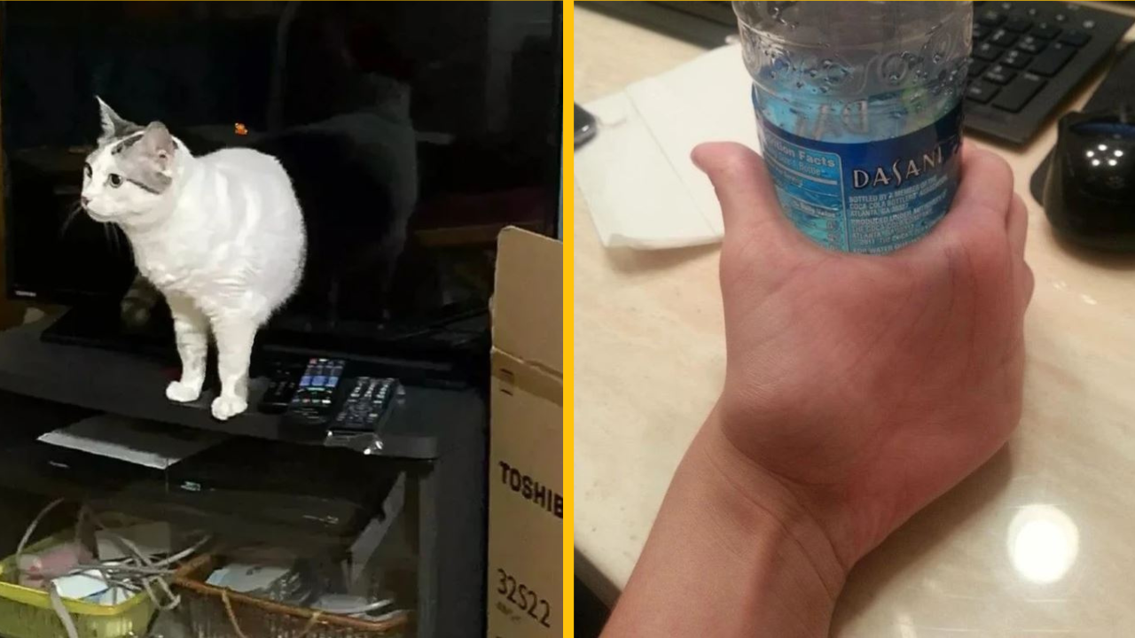 Fotografie, ktoré váš mozog bude okamžite považovať za zvláštne