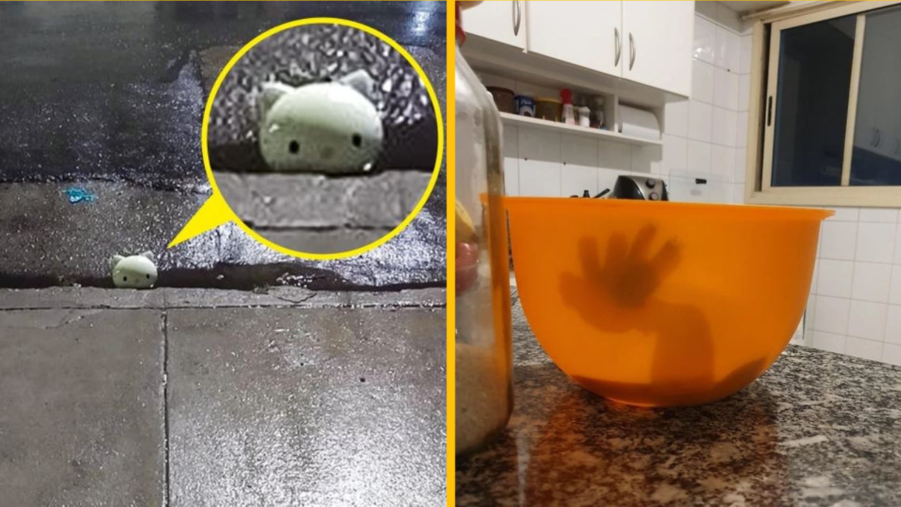 Fotografie, ktoré dokazujú, že realita je zvláštnejšia ako fikcia