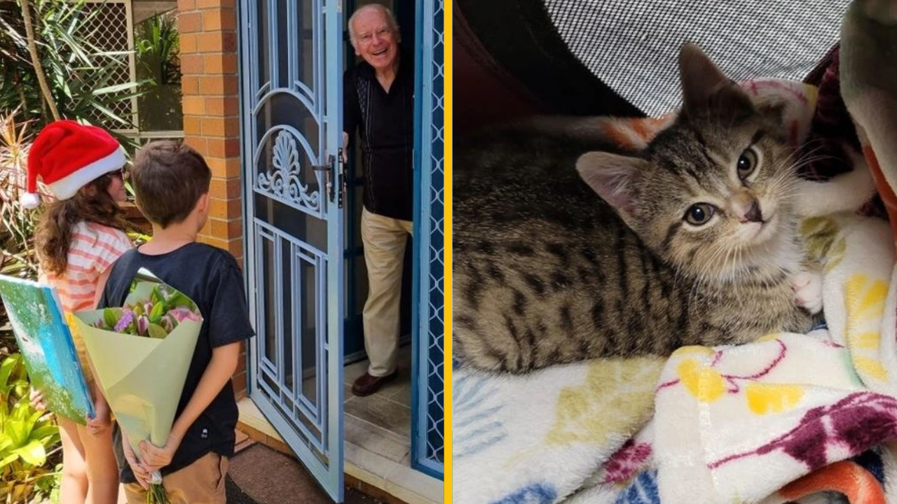 10+ ľudí, ktorí vedia, čo znamená príjemné prekvapenie