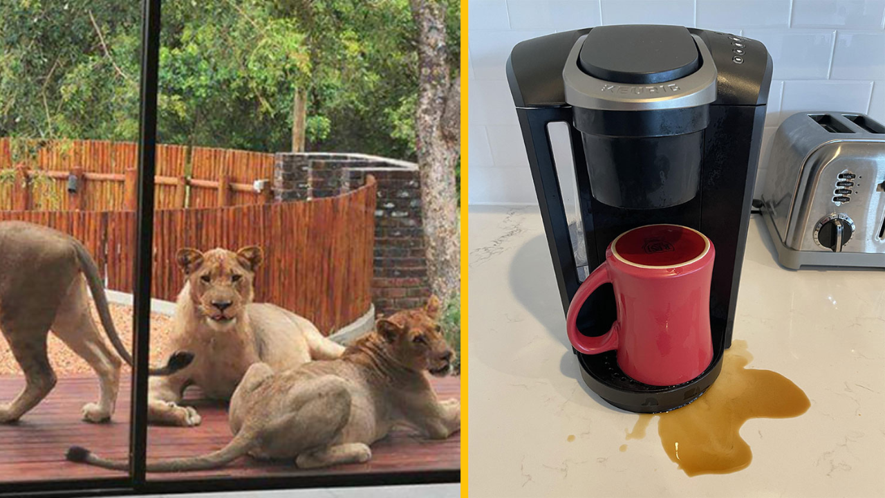 14 ľudí, ktorí majú pravdepodobne horší deň ako vy (1. časť)