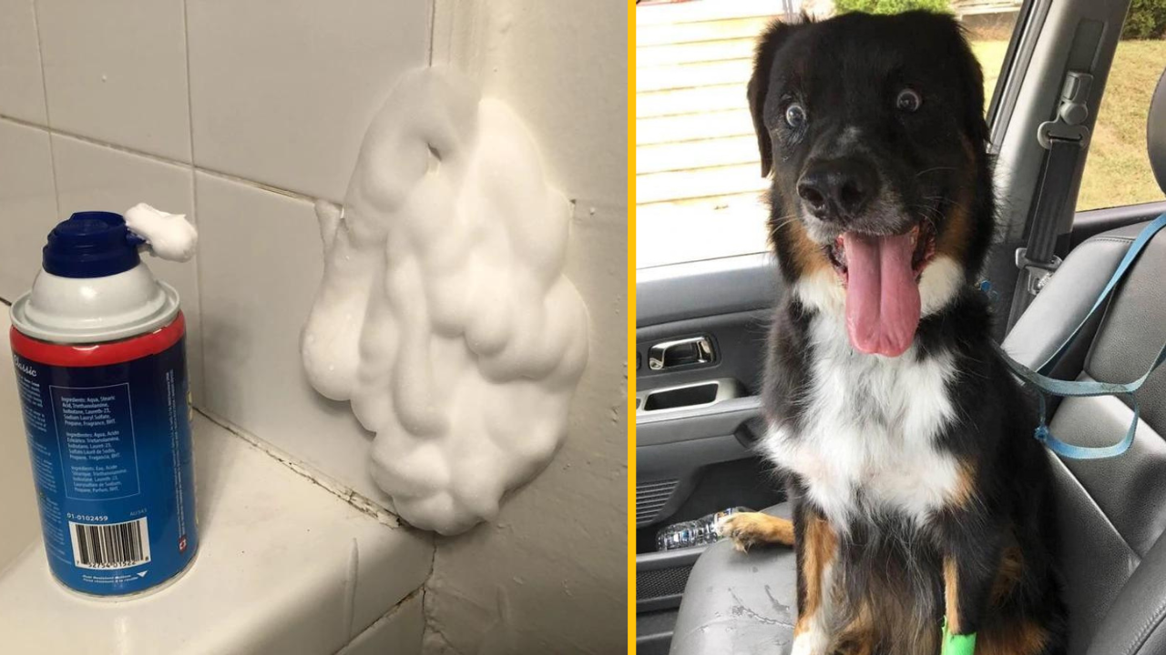 14 ľudí, ktorí si užívali normálny deň, až kým sa ocitli vo veľmi bizarných situáciách