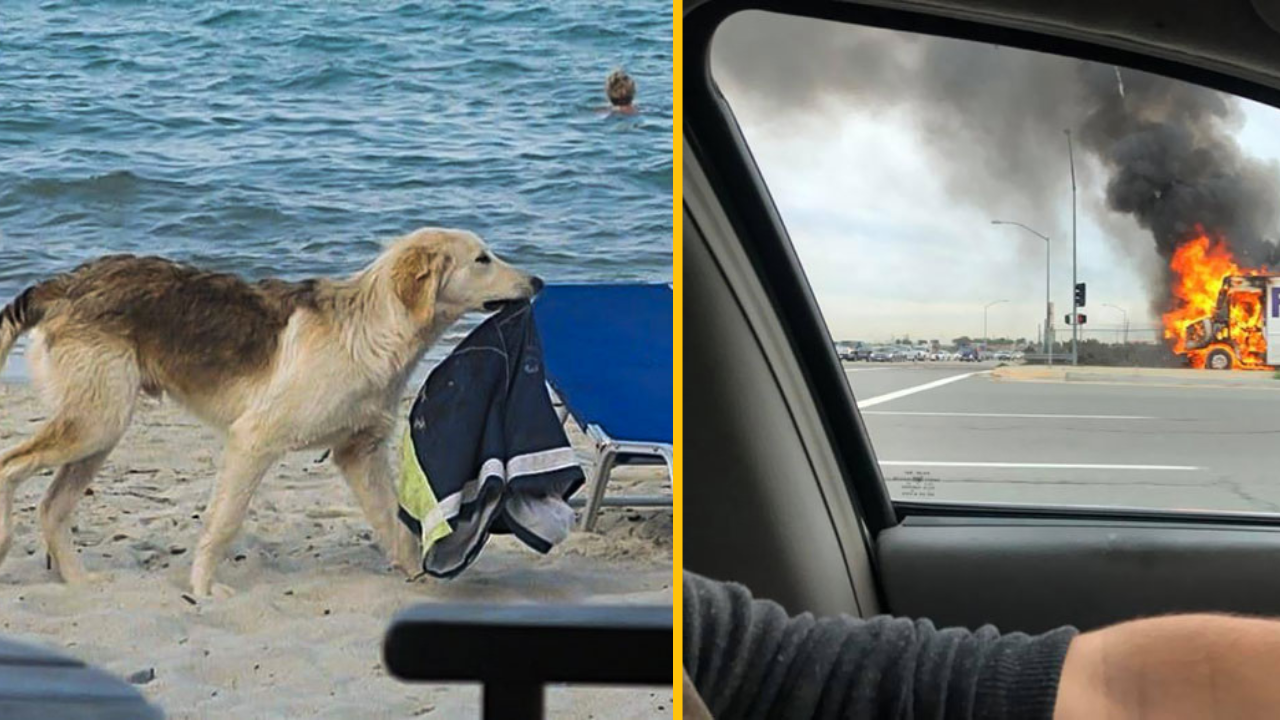 13 ľudí, ktorí majú horší deň ako ktokoľvek iný #1