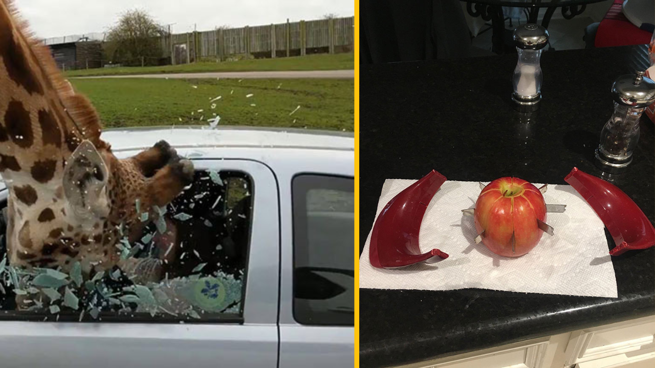 13 ľudí, ktorí majú horší deň ako ktokoľvek iný #2